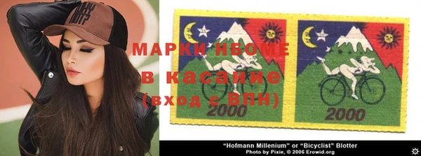индика Алексин