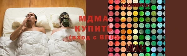 индика Алексин