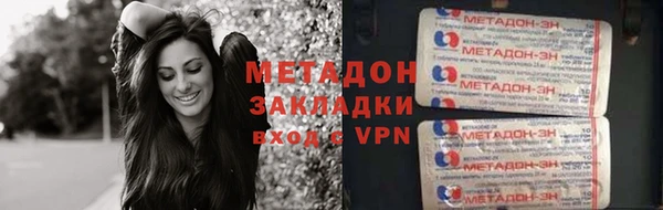 индика Алексин