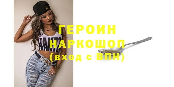 индика Алексин