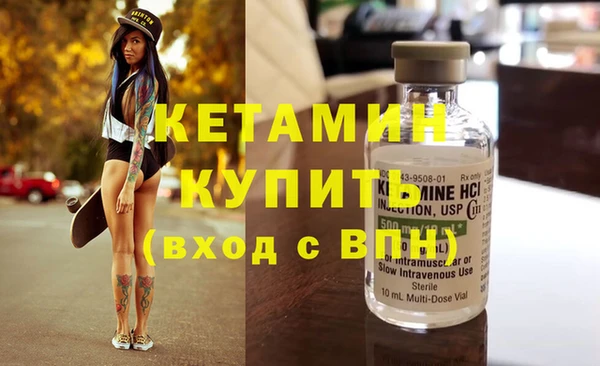 индика Алексин