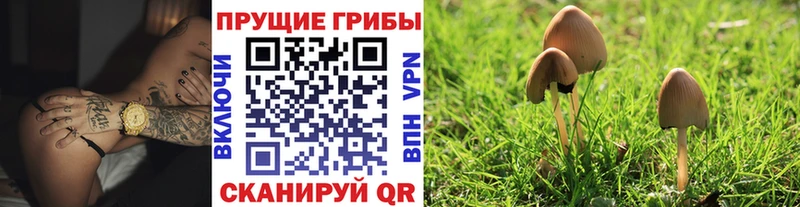 мориарти Telegram Любань Галлюциногенные грибы мухоморы